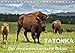 Produktbild TATONKA Der nordamerikanische Bison (Tischkalender 2019 DIN A5 quer): Indianerbüffel vor der beeindruckenden Kulisse des Yellowstone Nationalparks (Monatskalender, 14 Seiten ) (CALVENDO Tiere)