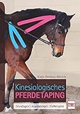 Image de Kinesiologisches Pferdetaping: Grundlagen, Anwendungen, Fallbeispiele