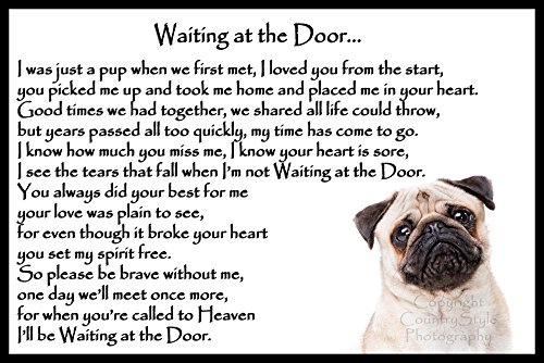 Pug-dog-Memorial-pet-bereavement-Flexible-Fridge-Magnet-Waiting-at-the-Door