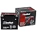 Produktbild Novelbat YTX20L-BS AGM Motorradbatterie 12V 18Ah 210A