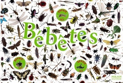 Télécharger Bébêtes PDF