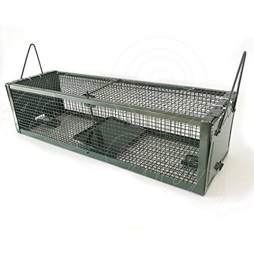 ASC – Rattenfalle Metall Ratte Traumfänger – menschlichen ohne Killing – wiederverwendbar anti-parasites Falle - 3