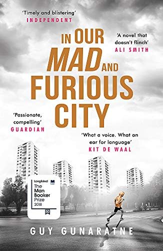 In Our Mad and Furious City: Winner of the International Dylan Thomas Prize