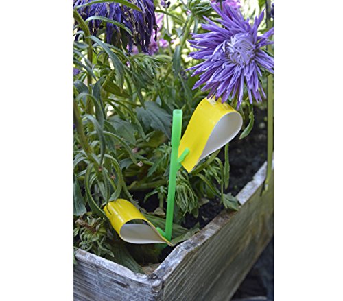 18 Stück Gelbtafeln Gelb-Sticker Fliegenfänger Sticker inkl. Stäbe zu Befestigung