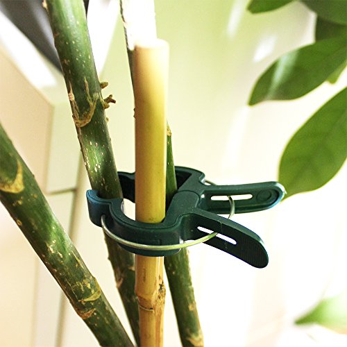 COM-FOUR 40x Pflanzenklemmen, Pflanzenclipse, 20x große & 20x kleine Klemmen - 5