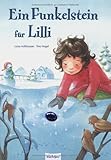 Cover zum Buch Ein Funkelstein für Lilli