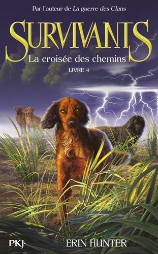 couverture de : La crois&eacute;e des chemins
