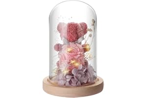 ‎IVEOPPE IVEOPPE Ewige Rose Bär im Glas - mit LED Licht und Holzsockel, Geschenke für Frauen, Geburtstagsgeschenk für Frauen, Rosen Bär für Freundin Frau am Muttertag Geburtstag Valentinstag Jahrestag(Rosa)