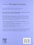 Image de Robbins - patologia humana (8ª ed.)