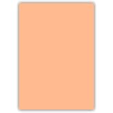50 Blatt farbiges Premium Briefpapier Caribic DIN A3 Papier-Farbe