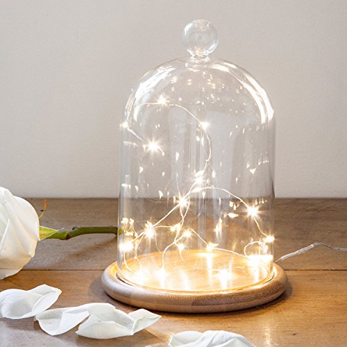 Deko Glasglocke mit 20er Micro Draht Lichterkette perlweiß 21cm Lights4fun