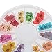 12 Colors Real Dry Dried Flower for 3D UV Gel Acrylic False Tips Nail Art Salon