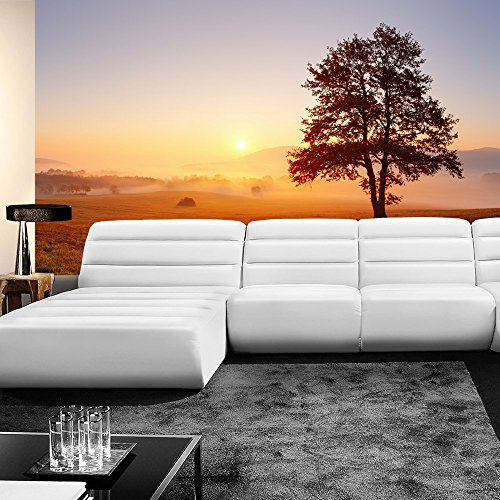 Vlies Fototapete 400×280 cm – Top ! PREMIUM PLUS Foto Tapete ! Wandbilder XXL Wandbild Bild Fototapeten Tapeten Wandtapete Wanddeko Wand Sonnenaufgang Baum Natur – no. 238 - 9