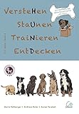 Buch-Cover VersteHen,StaUnen,TraiNieren,EntDecken: Band 2