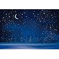 Renaiss 10x8ft Starry Night Backdrop Sky Moon Snowfall Photography