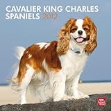 Cavalier King Charles Spaniels 2012 by 