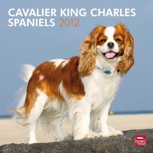 Cavalier King Charles Spaniels 2012