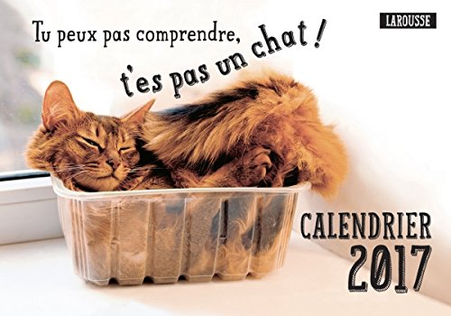 CALENDRIER 2017 TU PEUX PAS COMPRENDRE T'ES PAS UN CHAT CALENDRIER 2017 TU PEUX PAS COMPRENDRE T'ES PAS UN CHAT