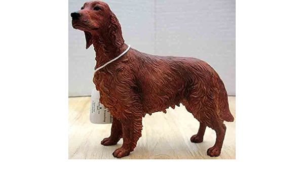 irish setter amazon