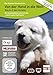 Von der Hand in die Welt- das A-Z des Hundes: Die Enzyklopädie rund um den Canis Lupus Familiaris [Alemania] [DVD]