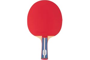 ‎GEWO GEWO Standard PRO Tischtennisschläger - Kontrollierter Anfänger Tischtennis-Schläger - Komplettschläger mit Lion ITTF-Belag, hohe Kontrolle und Geschwindigkeit, Griff konkav, 1,8mm Belag