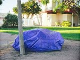 pileta lona 2x2 Resistente al agua Toldo reforzado gramaje 90 grs, 3 x 2 m, color azul - Catral 560110