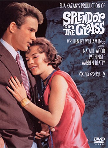 Preisvergleich Produktbild Splendor in the Grass [DVD-AUDIO]