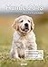 Wochenkalender Hunde 2018 by