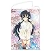 Produktbild Hobby Stock  Senran Kagura: New Wave G Burst B2 Wall Scroll: Ikaruga [Soaked Version]