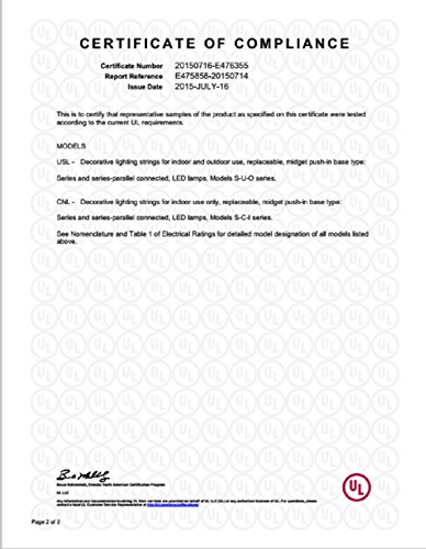 DOLDOA 20er LED Lichterkette silberne Kugeln batteriebetrieben,Silber - 7