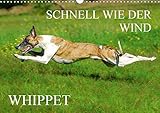 Schnell wie der Wind - Whippet (Wandkalender 2020 DIN A3 quer) by 