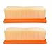Produktbild VACFIT HEPA-Filter für Kärcher 2.863-005.0 MV4 MV5 MV6 WD4 WD5 WD6 Nass- und Trockensaugerfilter Ersatzteil-Pack 2pcs