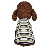 🍇🍇🍇correa de adiestramiento para perros mochila para llevar perros pienso perros pienso para perros royal canin pienso para perros 20 kg collar cuero perro arnes para perros peque arnes perro julius 45 cachorros de perros arnes perro mediano arnes perr casetas para perros porta perros champu perros lanzador de pelotas para perros accesorios perros accesorios para perros collares antiparasitarios para perros collares perros pastillas desparasitacion perros