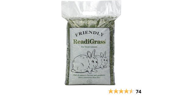 readigrass for guinea pigs