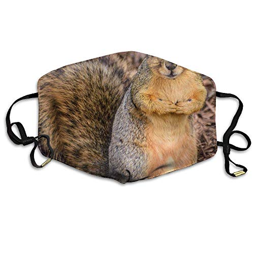 Preisvergleich Produktbild Grey Squirrel Anti Dust Breathable Face Mouth Mask for Man Woman