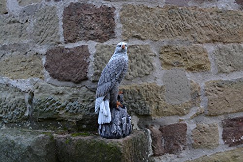 Wunderschöner Adler Farbe antik aus Steinguss, frostfest - 2