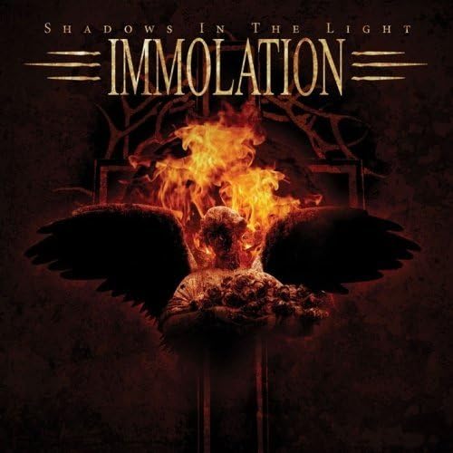 Shadows In The Light [VINYL]