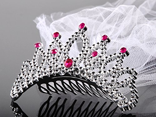 SiDeSo® Diadem mit Schleier JGA Junggesellinnenabschied Braut