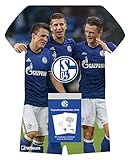 Schalke 04 Tagesabreißkalender 2018 - Fußballkalender, Schalke 04 Kalender - 24 x 30 cm by