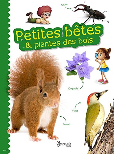 couverture de : Petites b&ecirc;tes & plantes des bois