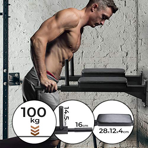 Physionics Estación de Entrenamiento - para Músculos Abdominales y Espalda, Carga Máx. 100 kg - Barra Musculacion, de Dominadas, Equipo de Fitness y Ejercicio