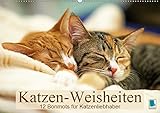 Katzen-Weisheiten: 12 Bonmots für Katzenliebhaber (Wandkalender 2019 DIN A2 quer): Charmante Stubentiger: Besinnliches und Heiteres (Monatskalender, 14 Seiten ) (CALVENDO Wissen) by