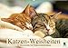 Produktbild Katzen-Weisheiten: 12 Bonmots für Katzenliebhaber (Wandkalender 2019 DIN A2 quer): Charmante Stubentiger: Besinnliches und Heiteres (Monatskalender, 14 Seiten ) (CALVENDO Wissen)