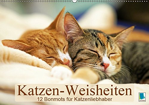Katzen-Weisheiten: 12 Bonmots für Katzenliebhaber (Wandkalender 2019 DIN A2 quer): Charmante Stubentiger: Besinnliches und Heiteres (Monatskalender, 14 Seiten ) (CALVENDO Wissen)