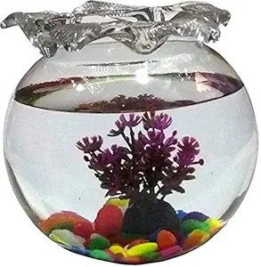 Afast Clear & Transparent Round Glass Fish Pot for Joom View with Designer Neck & DecorativeAccessories of 8 Inch Table Top-fb06