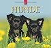 Hunde 2013 - Original Stürtz-Kalender by 