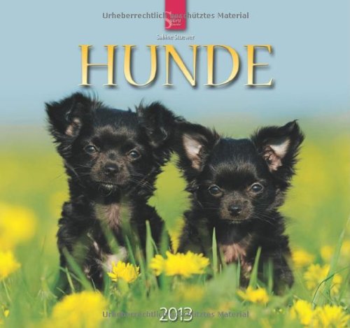 Hunde 2013 - Original Stürtz-Kalender