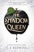 Produktbild The Shadow Queen (Ravenspire, Band 1)