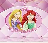 Kleinkinderbett für Mädchen im Kutschendesign von Disney Prinzessin, mit Baldachin - 5