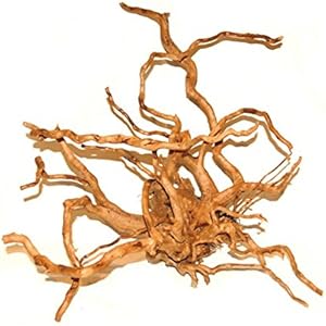 Zolux Red Wood legno per decorazioni MD/LARGE